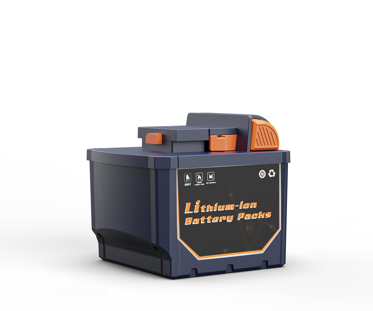 D24-100 Lithium-ion Battery Pack